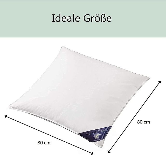 Welt der Träume Daunenkissen Daunenkissen Kissen Kopfkissen 80x80 cm 900 Gr günstig online kaufen