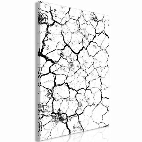 artgeist Wandbild Cracked Earth (1 Part) Vertical schwarz/weiß Gr. 40 x 60 günstig online kaufen