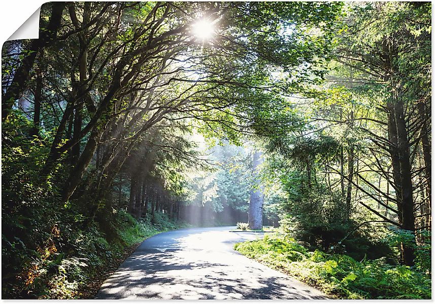 Artland Wandbild "Sonniger Wald", Baumbilder, (1 St.), als Alubild, Outdoor günstig online kaufen