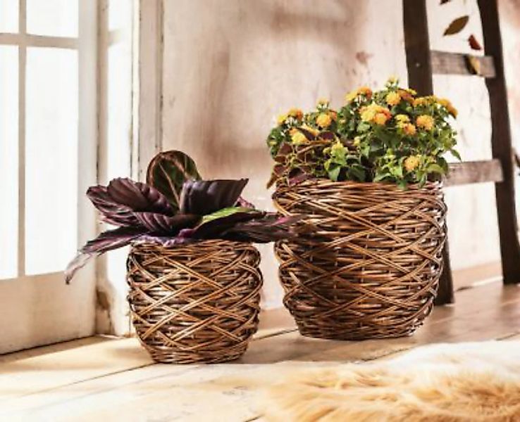 HOME Living Pflanzkorb Brownie Blumentöpfe braun günstig online kaufen