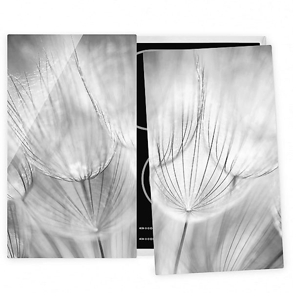 2-teilige Herdabdeckplatte Glas Blumen Pusteblumen Makroaufnahme in schwarz günstig online kaufen