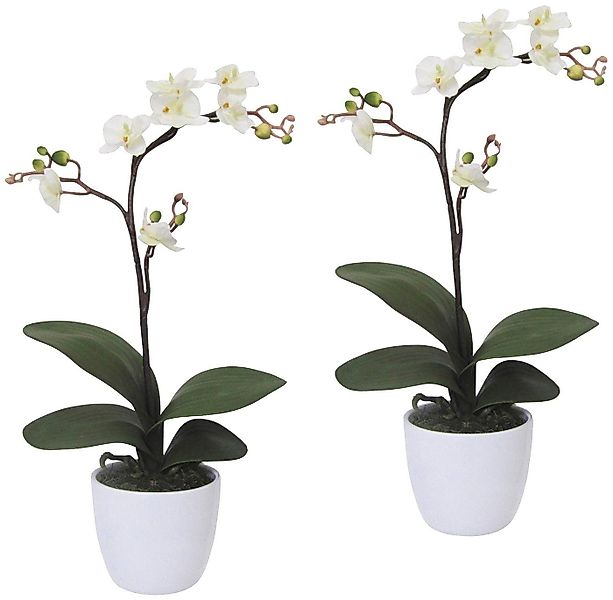 Kunstpflanze Orchidee Phalaenopsis Orchidee, Creativ green, Höhe 55 cm, im günstig online kaufen