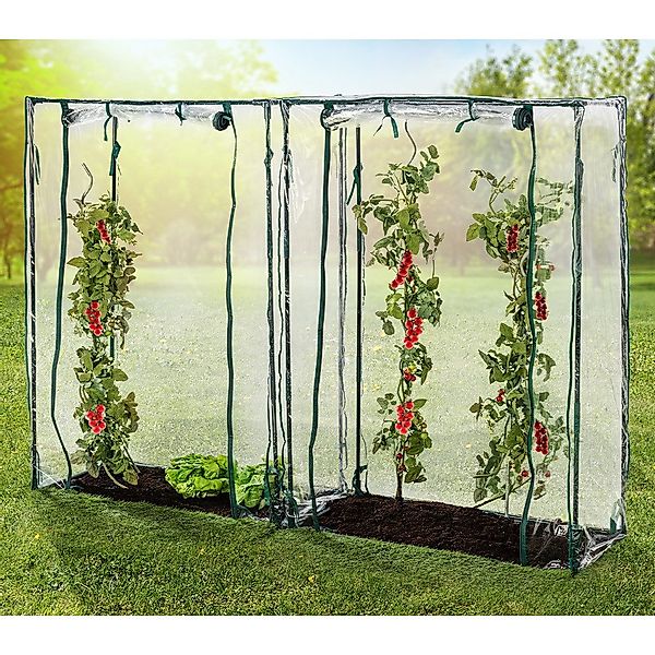 Green Yard Tomatengewächshaus Tomatengewächshäuser, ca.150 x günstig online kaufen