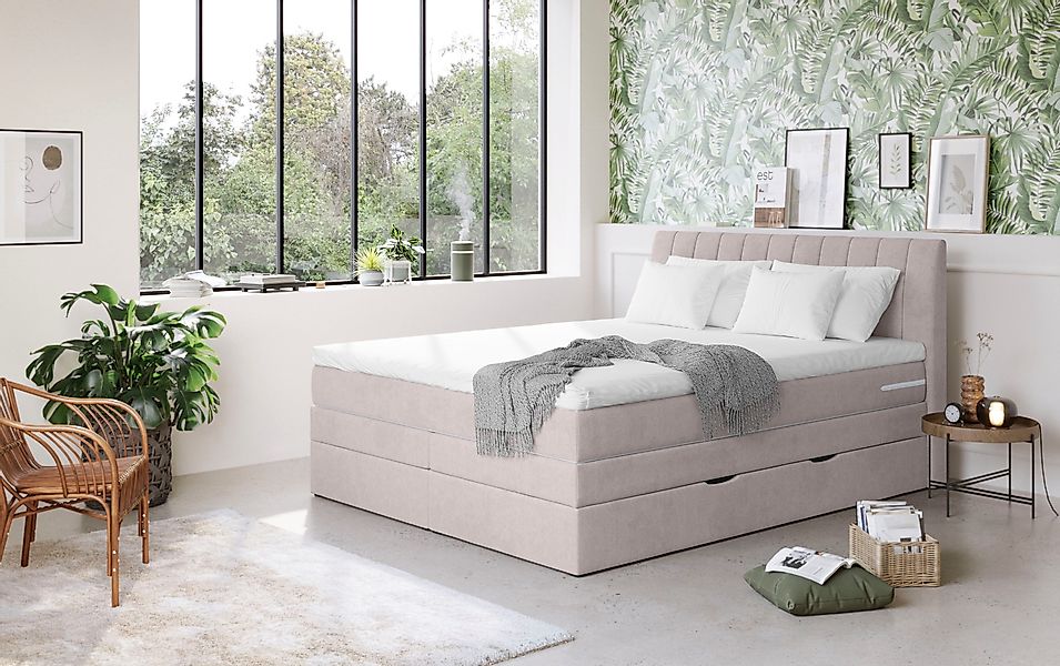 COTTA Boxspringbett "Shark inkl. Bettkasten und Topper", erhältlich in den günstig online kaufen