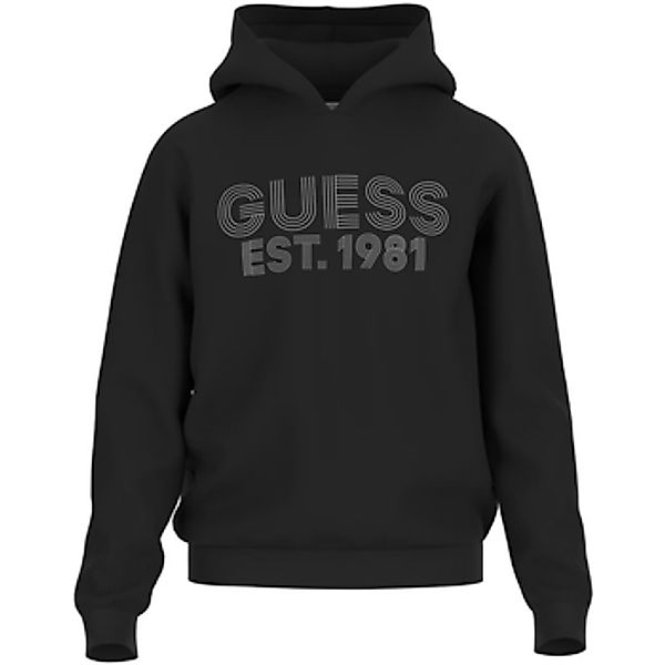 Guess  Sweatshirt Kapuzensweatshirt Hoodie BEAU günstig online kaufen