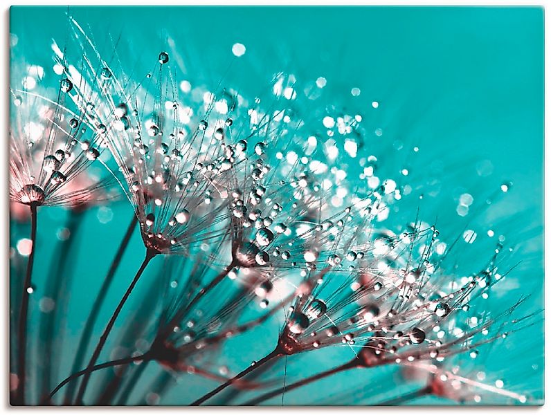 Artland Wandbild "Glitzernde Pusteblume I", Blumen, (1 St.), als Leinwandbi günstig online kaufen