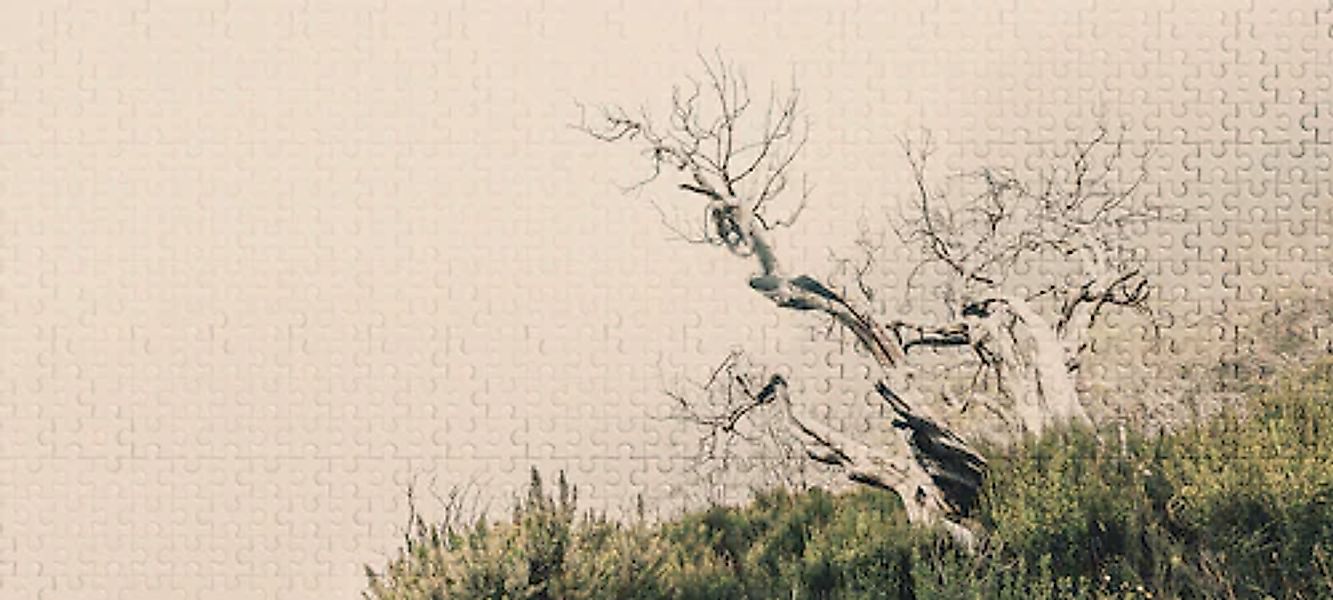 Architects Paper Fototapete »Atelier 47 Death Tree Puzzle 2« Wald glatt Vli günstig online kaufen