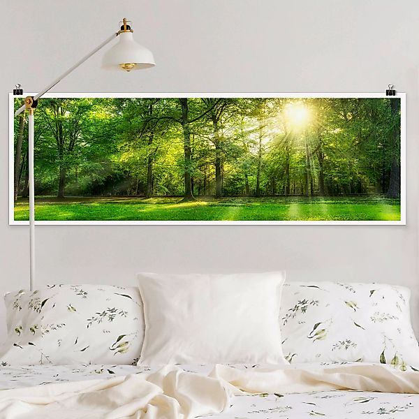 Poster Spaziergang im Wald günstig online kaufen