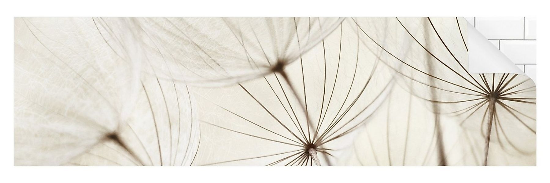 Bilderdepot24 Küchenrückwand weiß dekor Botanik Tropisch Vintage Blumen Lan günstig online kaufen