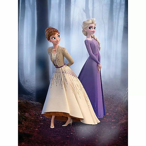 Komar Poster Frozen Wood Walk Disney B/L: ca. 30x40 cm günstig online kaufen