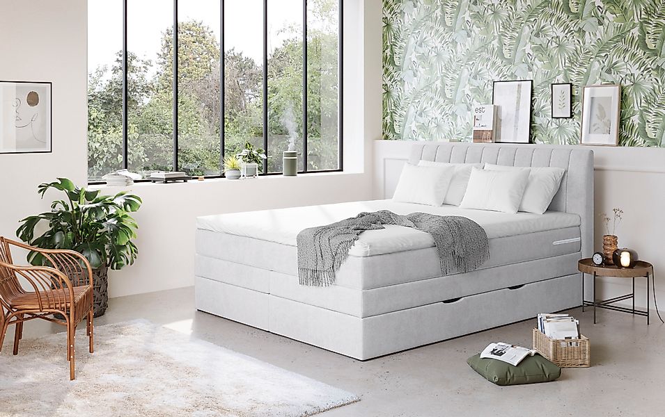 COTTA Boxspringbett »Shark inkl. Bettkasten und Topper« erhältlich in den B günstig online kaufen