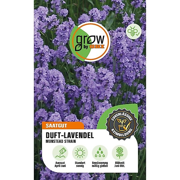 GROW by OBI Duft-Lavendel Munstead Strain Höhe ca. 40 cm günstig online kaufen