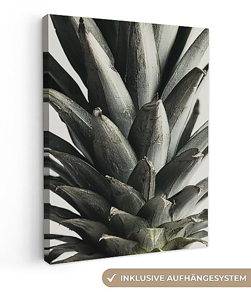 OneMillionCanvasses® Leinwandbild Ananas - Grün - günstig online kaufen