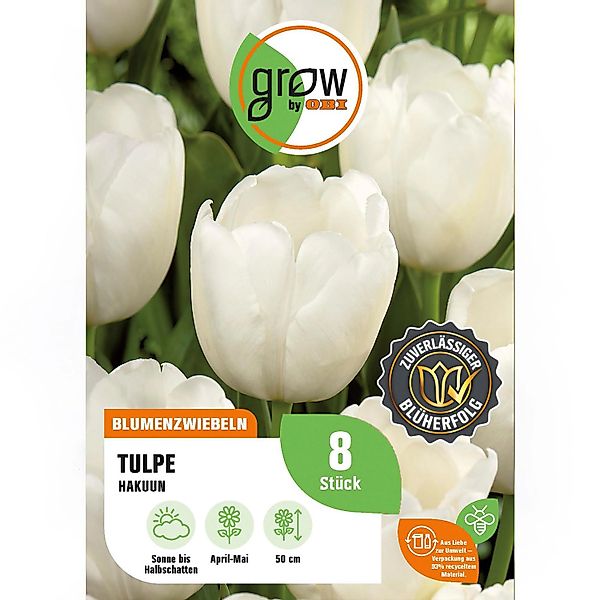 GROW by OBI Tulpe Hakuun Weiß 8 Stück Tulipa Darwin hybrid Hakuun günstig online kaufen