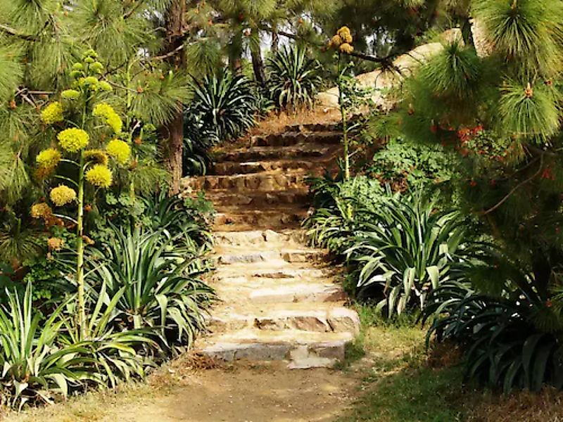 Papermoon Fototapete »Hill Garden« günstig online kaufen