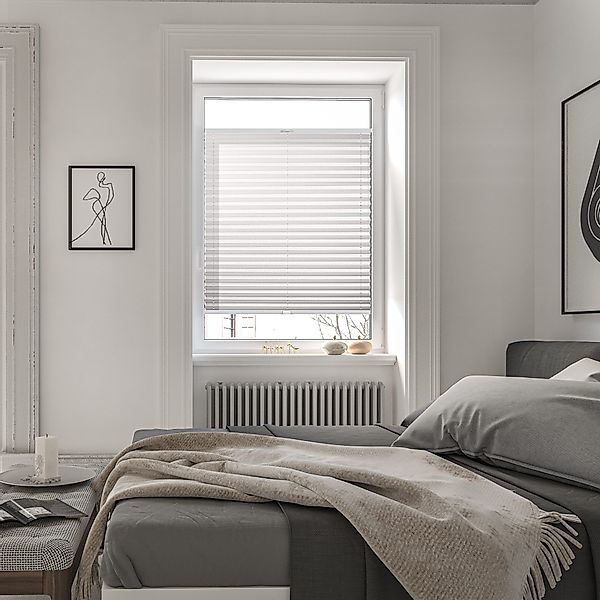 Roomy Plissee nach Maß Plissee, blickdicht, günstig online kaufen