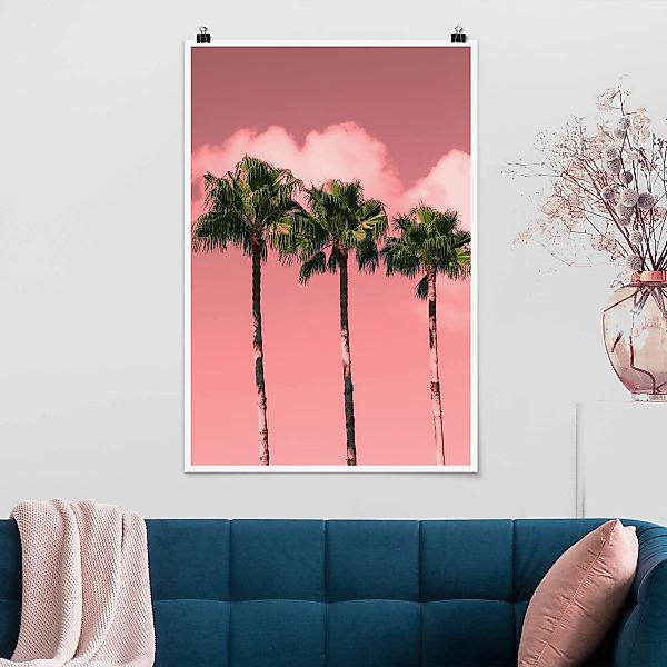 Poster Palmen vor Himmel Rosa günstig online kaufen