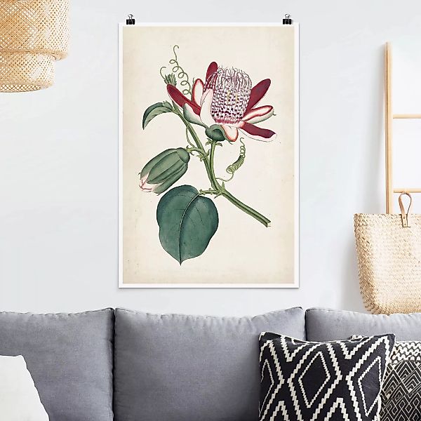 Poster Blumen - Hochformat Gartenschönheit IV günstig online kaufen