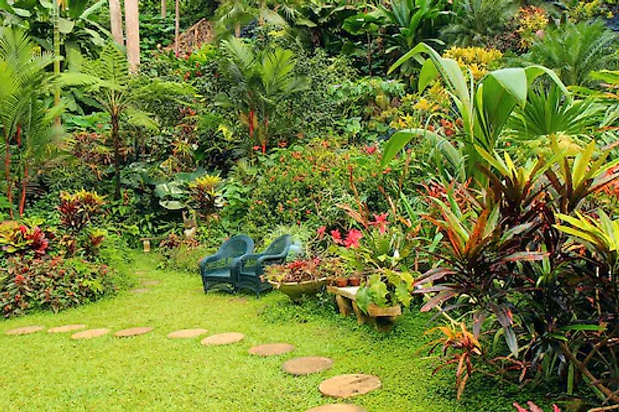 Papermoon Fototapete »GARTEN-BLUMEN BÄUME PFLANZEN PARK STEINE WALD BLÜTEN« günstig online kaufen