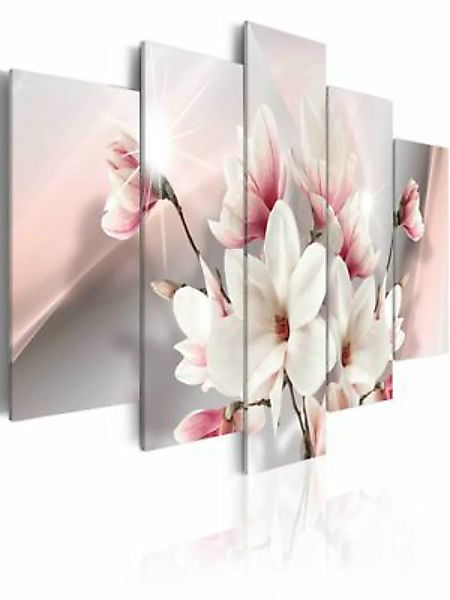 artgeist Wandbild Magnolia in bloom mehrfarbig Gr. 200 x 100 günstig online kaufen
