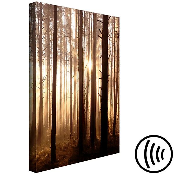 Leinwandbild Forest Paths (1 Part) Vertical XXL günstig online kaufen