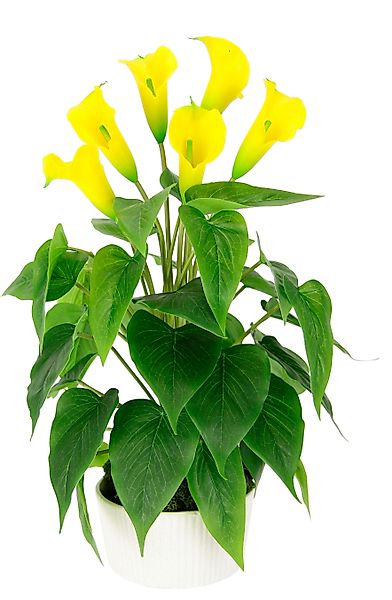 Kunstblume Calla, I.GE.A., Höhe 45 cm, günstig online kaufen