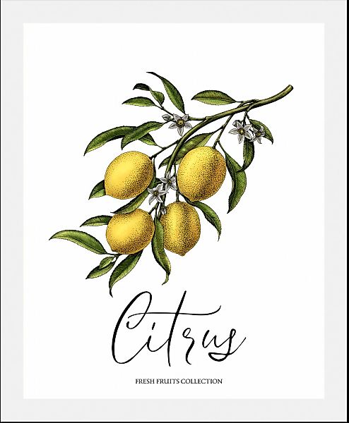 queence Bild »Citrus«, Obst-Obst Bilder-Essen-Lebensmittel-Kunst-Schriftzug günstig online kaufen