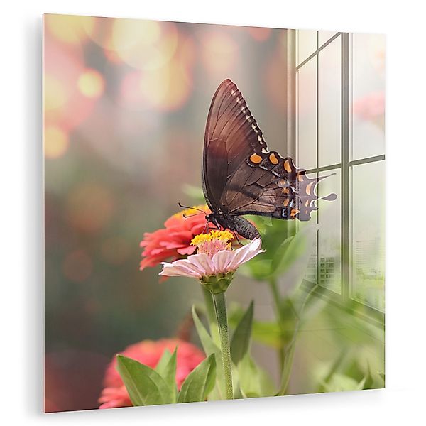 MuchoWow Acrylglasbild Blumen - Schmetterling - günstig online kaufen