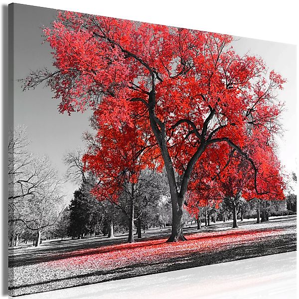 Wandbild - Autumn In The Park (1 Part) Wide Red günstig online kaufen