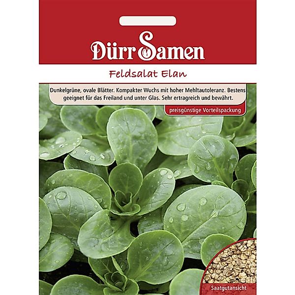 Dürr Samen Feldsalat Elan Saatgut Vorteilspack günstig online kaufen