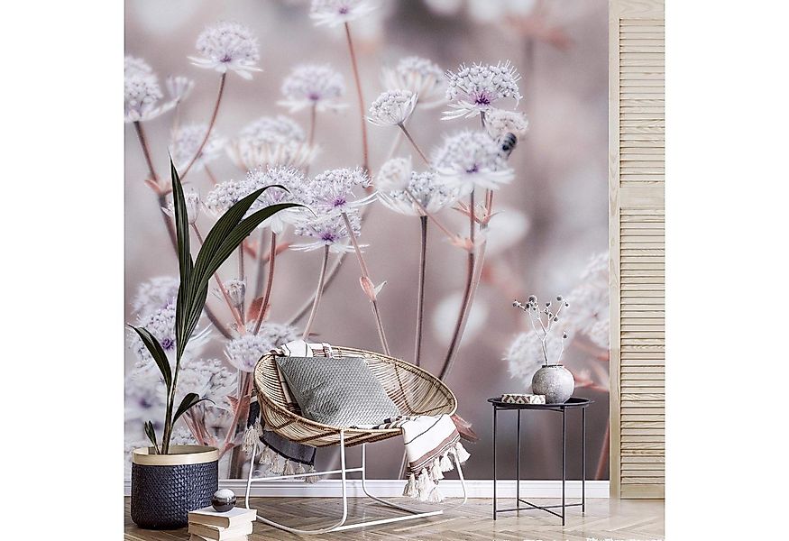 Bilderdepot24 Fototapete Blumen Wildblumen Blumentapete Floral Natur Modern günstig online kaufen