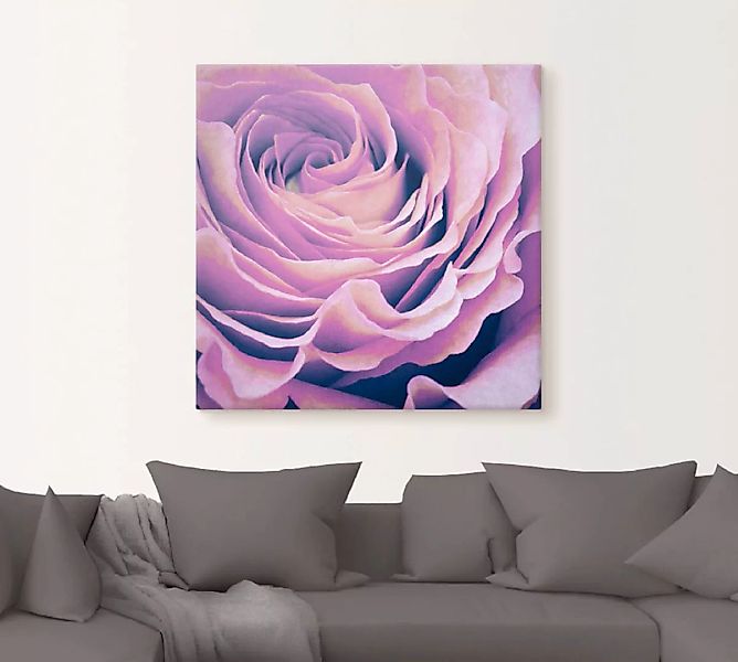 Artland Wandbild "Lila Rose", Blumen, (1 St.), als Leinwandbild, Poster in günstig online kaufen