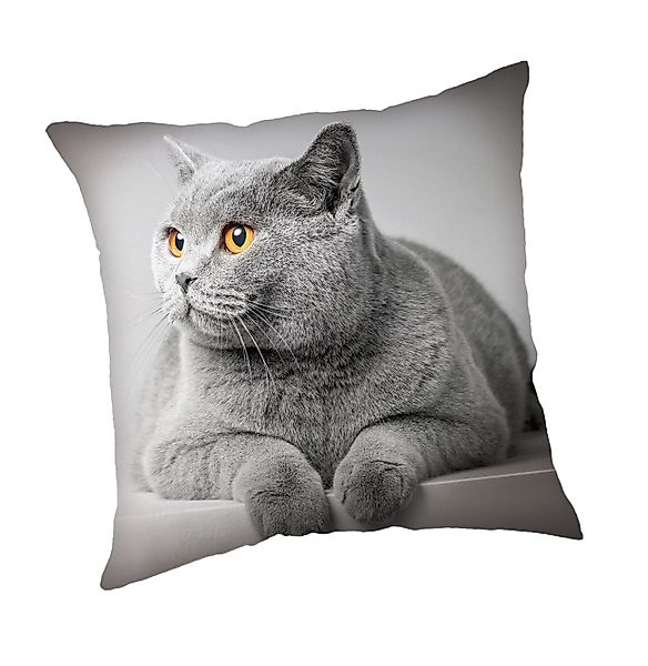Jerry Fabrics Kissenhülle Grey Cat 45x45 günstig online kaufen