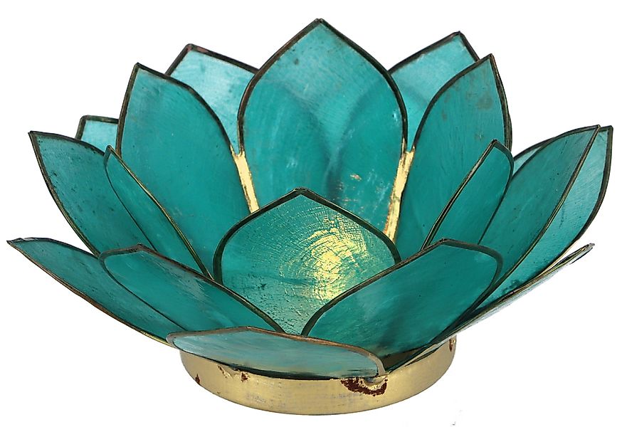Guru-Shop Windlicht Lotus Teelicht Muschel 14*6 günstig online kaufen