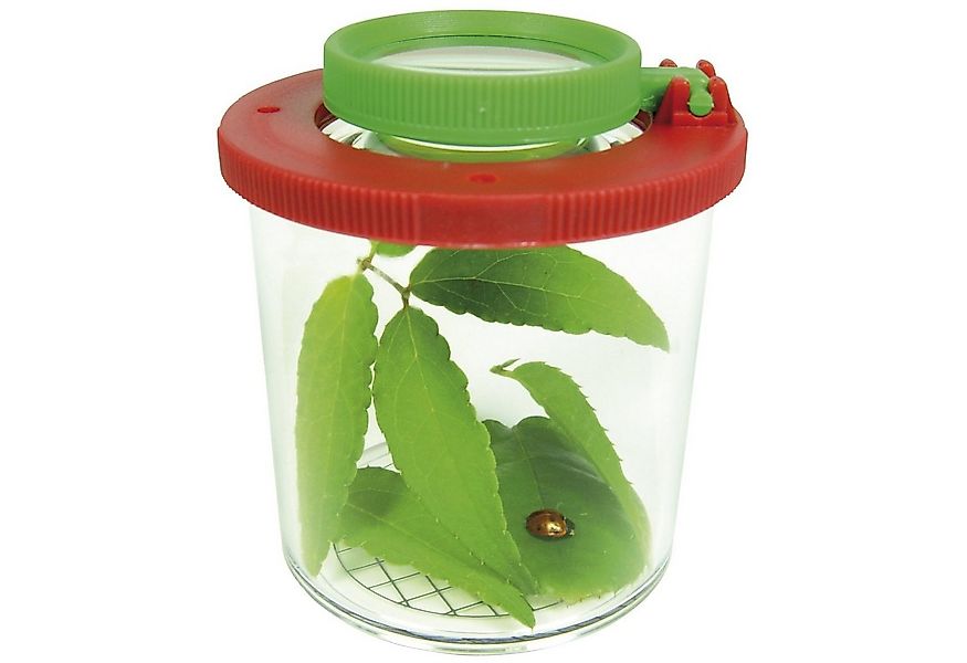 EDUPLAY Spielzeug-Gartenset Lupendose Ø 6 cm, H 7 cm, mit Plastikspinne günstig online kaufen