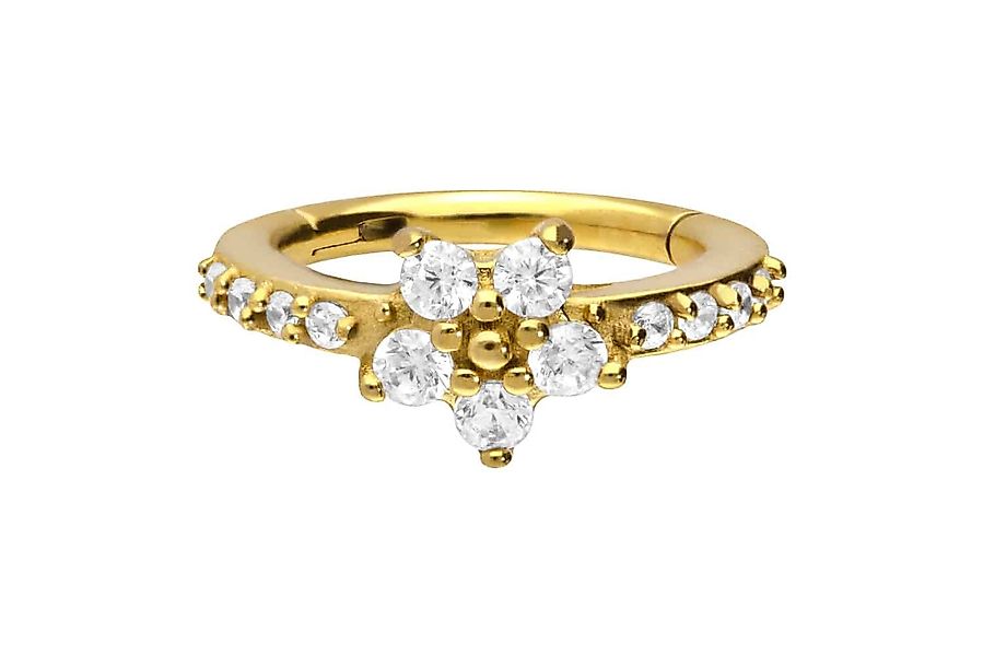 PIERCINGLINE Piercing-Set Chirurgenstahl Segmentring Clicker EINGEFASSTE günstig online kaufen