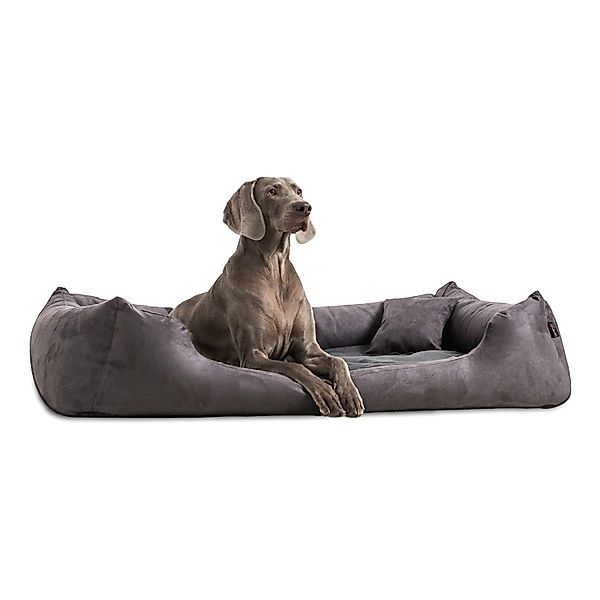 tierlando® Tierbett Orthopädisches Hundebett PLUTO SOFT, günstig online kaufen