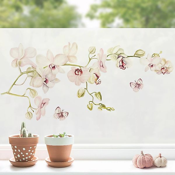 Fensterfolie Orchideenzweig und Schmetterling in rosé günstig online kaufen