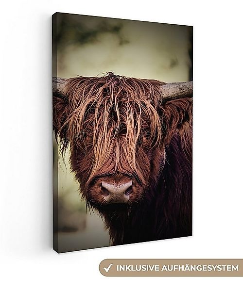 OneMillionCanvasses® Leinwandbild Schottischer Hochländer - Licht - Porträt günstig online kaufen