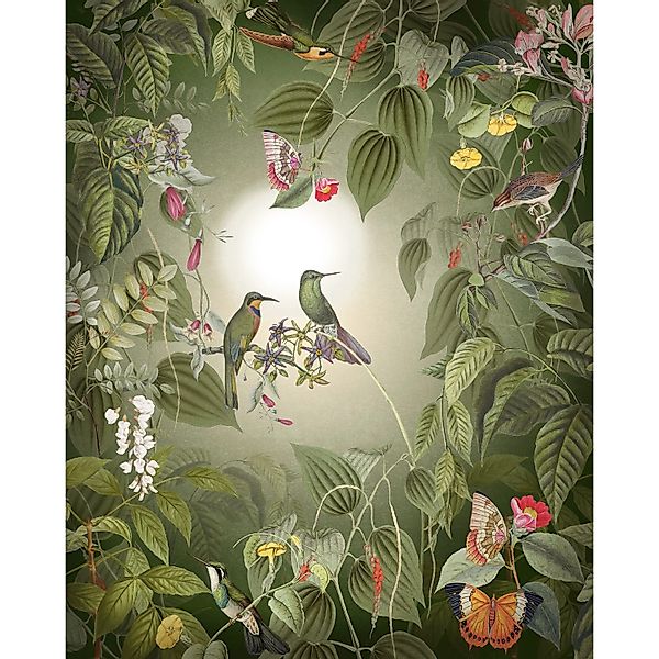 Komar Fototapete Wildlife Birds Vögel B/L: ca. 200x250 cm günstig online kaufen