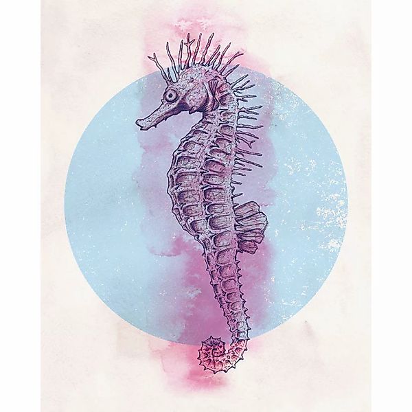 Komar Poster Sea Horse Circle Tiere B/L: ca. 40x50 cm günstig online kaufen