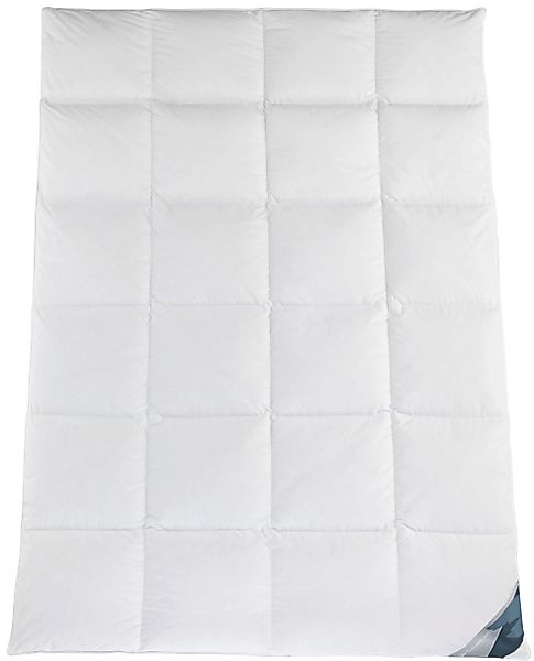 Haeussling Daunenbettdecke »Kuscheltraum, 135x200,155x220 & weitere Größen« günstig online kaufen