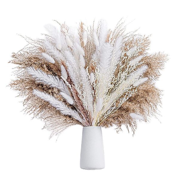 Trockenblume Pampasgras Getrocknet DIY 85pcs Natürliche günstig online kaufen