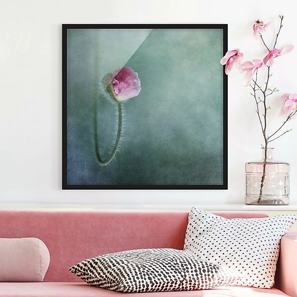 Bild mit Rahmen Blumen - Quadrat Blüte in Rosa günstig online kaufen