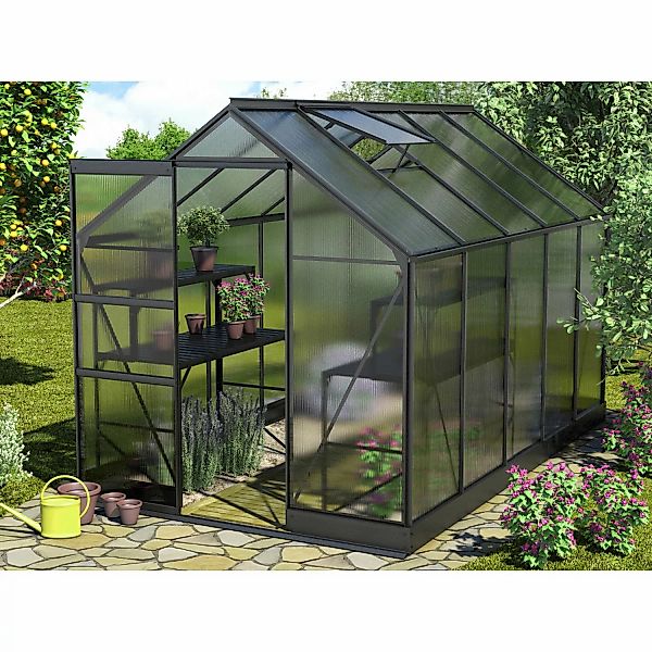 Vitavia Gewächshaus Apollo 6200 Schwarz 6,2 m² inkl. Fundament günstig online kaufen