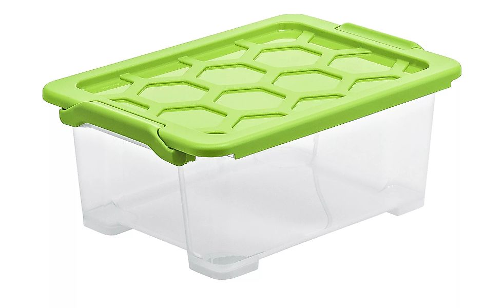 Rotho Aufbewahrungsbox mit Deckel - grün - Kunststoff - 28,3 cm - 16 cm - S günstig online kaufen