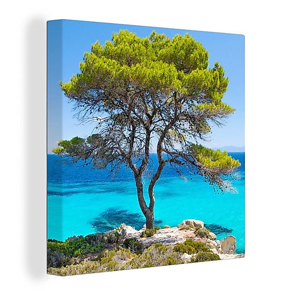 OneMillionCanvasses® Leinwandbild Baum - Meer - günstig online kaufen