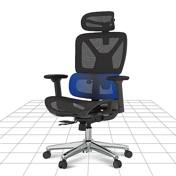 FLEXISPOT Bürostuhl Schreibtischstuhl Premium Ergonomischer (Rückenlehne günstig online kaufen