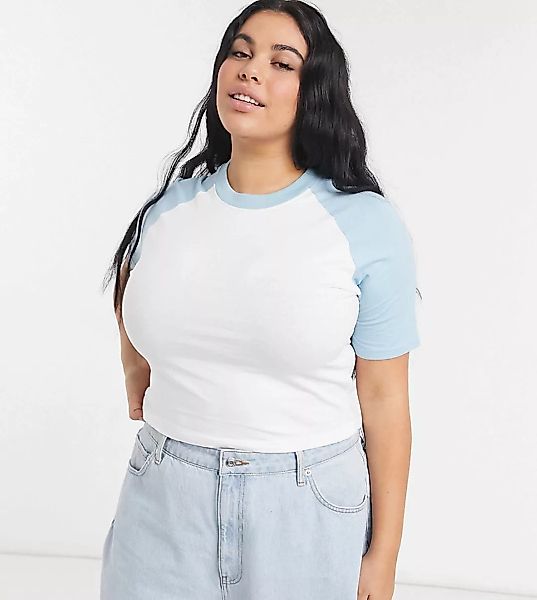 Daisy Street Plus – Kurzes T-Shirt mit Raglan-Ärmel in Babyblau-Weiß günstig online kaufen