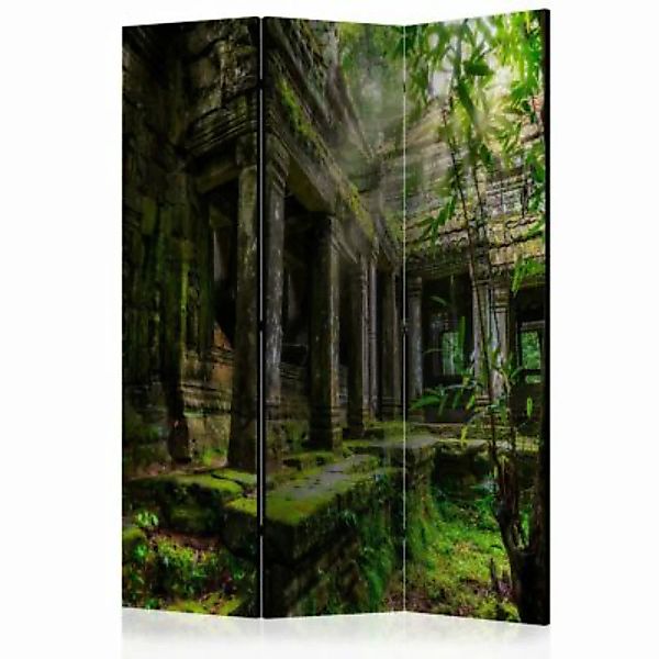 artgeist Paravent Preah Khan [Room Dividers] grün-kombi Gr. 135 x 172 günstig online kaufen
